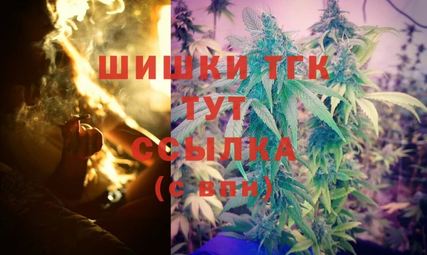тгк Нея