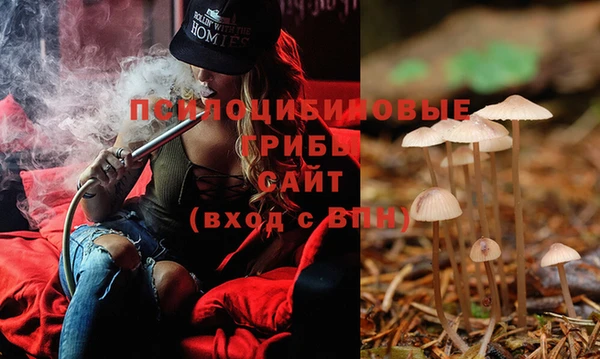 тгк Нея