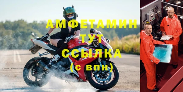 сатива Надым