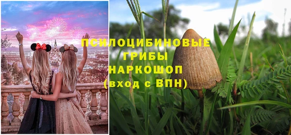 тгк Нея