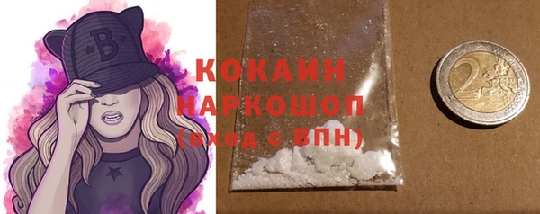 тгк Нея