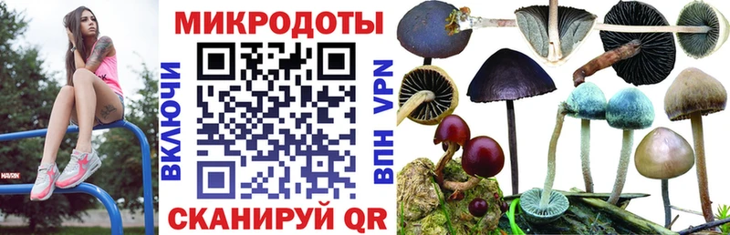 сайты даркнета клад  Янаул  Псилоцибиновые грибы MAGIC MUSHROOMS 